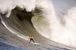 开云体育下载-F1新赛季揭幕战之夜，伊布关键进球定乾坤，跨界传奇的交汇时刻