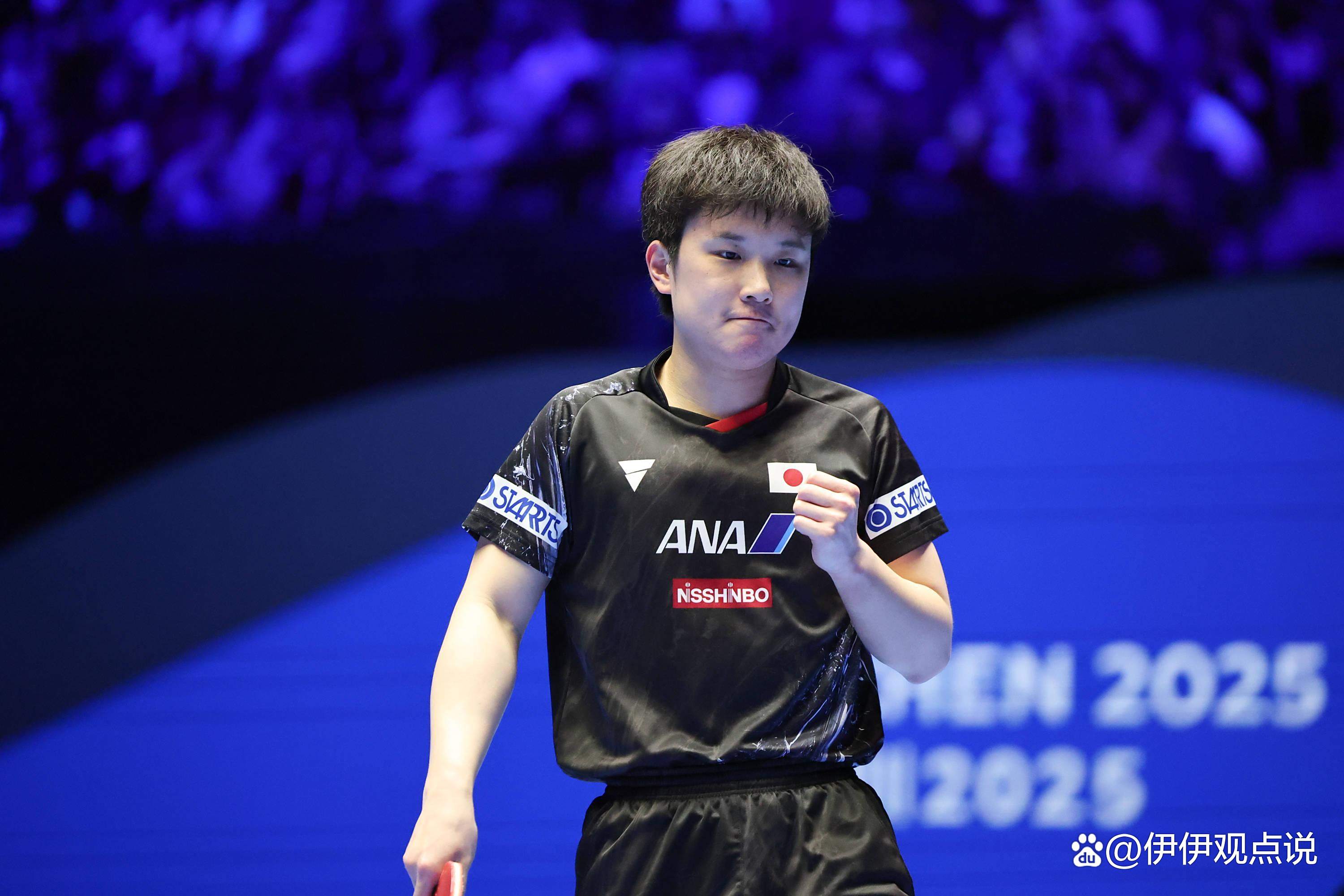 包含奥地利乒乓球队血洗瑞典乒乓球队，张本智和送出助攻的词条