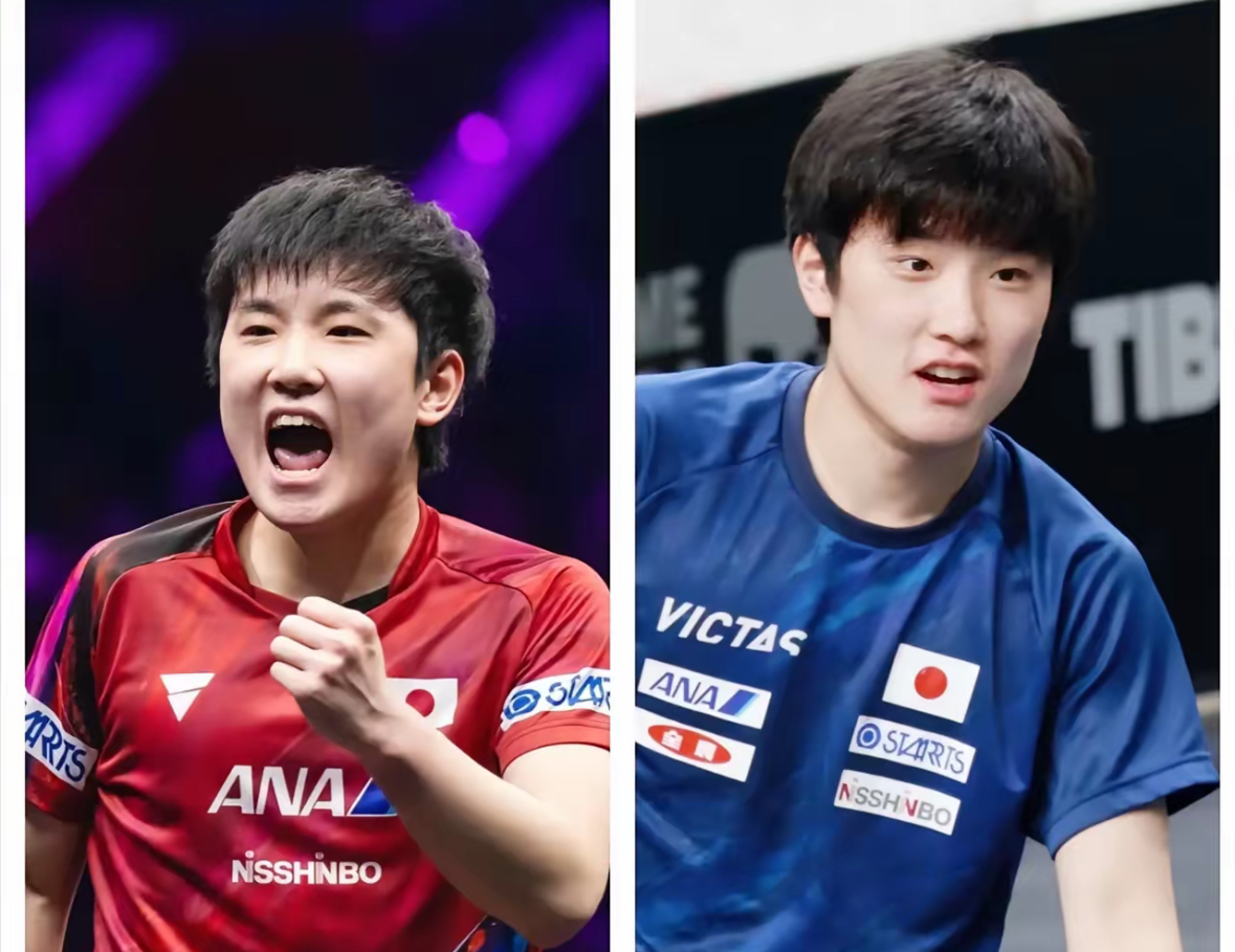 法国乒乓球队横扫奥地利乒乓球队，张本智和爆发神勇的简单介绍