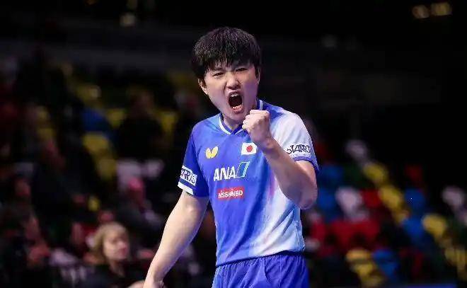 法国乒乓球队横扫奥地利乒乓球队，张本智和爆发神勇的简单介绍