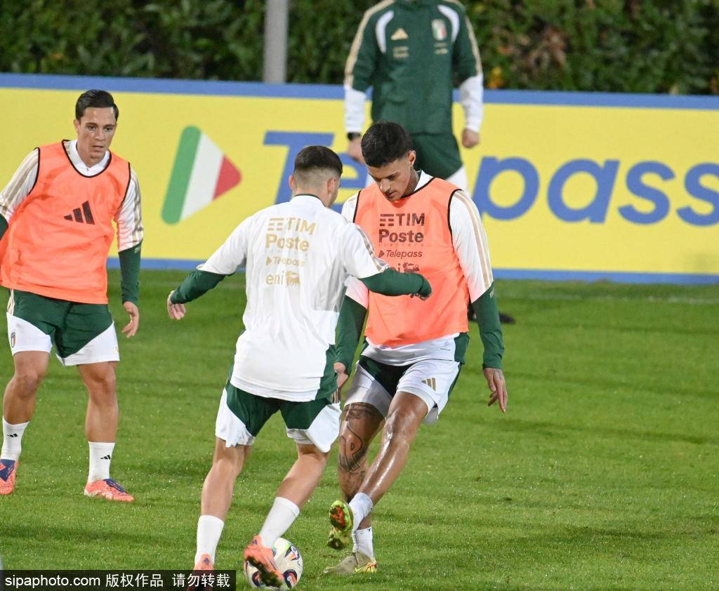 意大利选手受伤退赛，引起热议的简单介绍