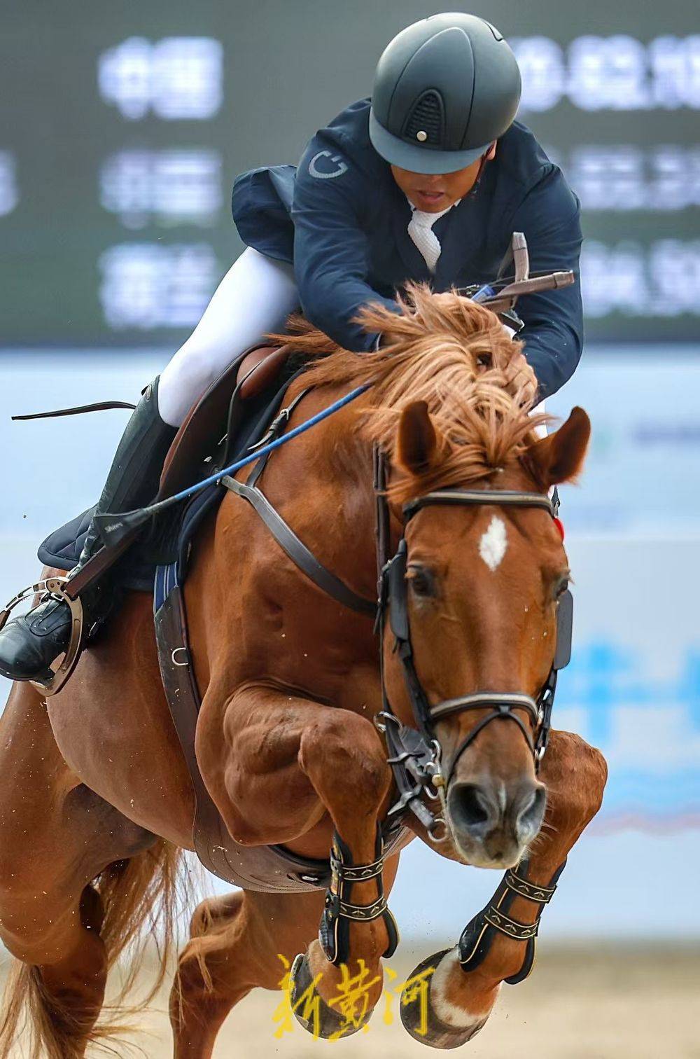 包含比利时联赛精彩纷呈，赛前准备充分的词条