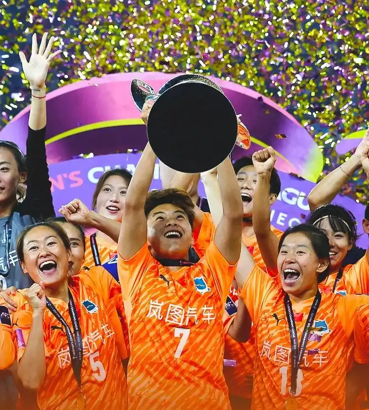 关于足球锦标赛：球员们奋力拼搏，收获辉煌战果的信息