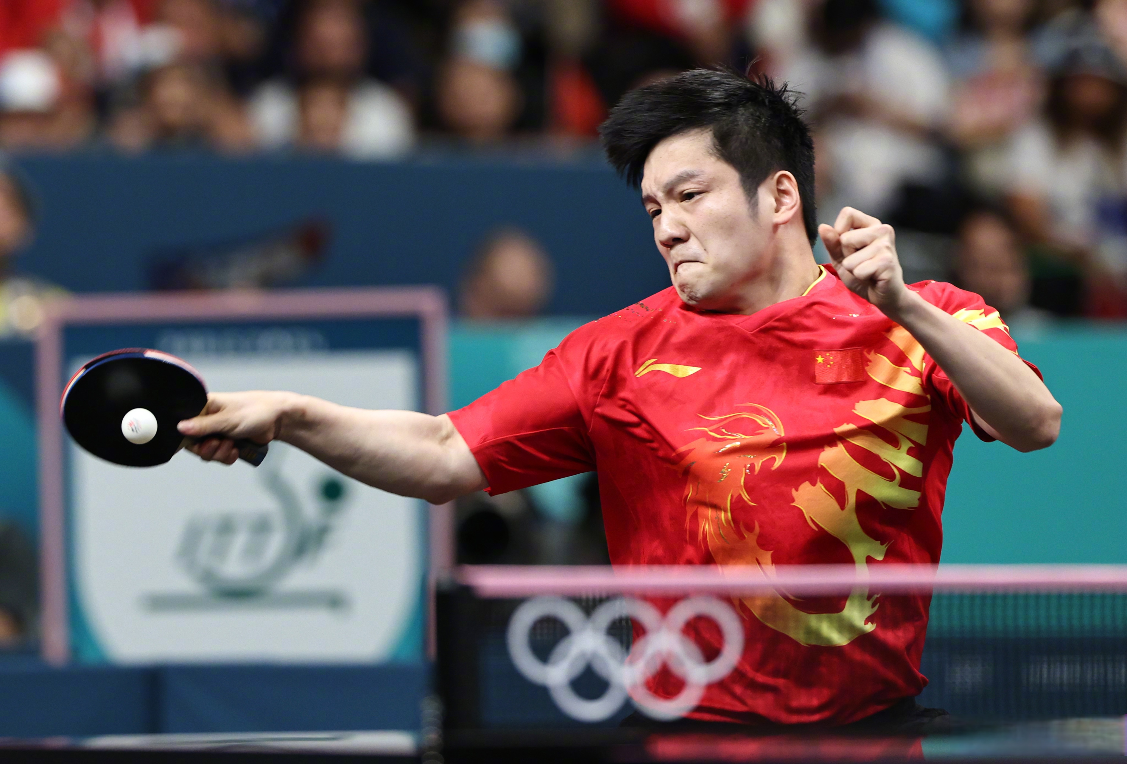 包含中国乒乓球队强势法国乒乓球队，樊振东打破历史纪录的词条