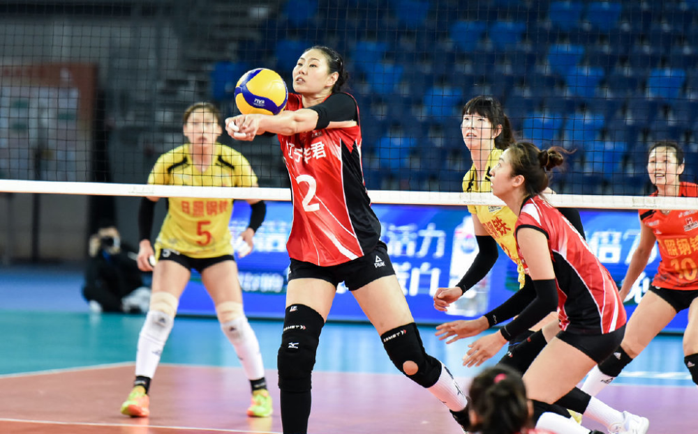 掘金横扫辽宁队，武切维奇惊艳四座的简单介绍