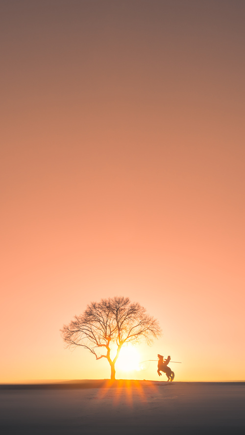 西决生死战焦点战,老鹰争冠战胜出上海队